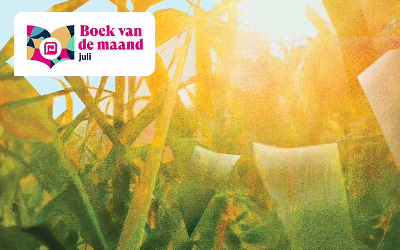 Boek van de maand juli: <i>Het verdwijnen van Ferdi Heijen</i>